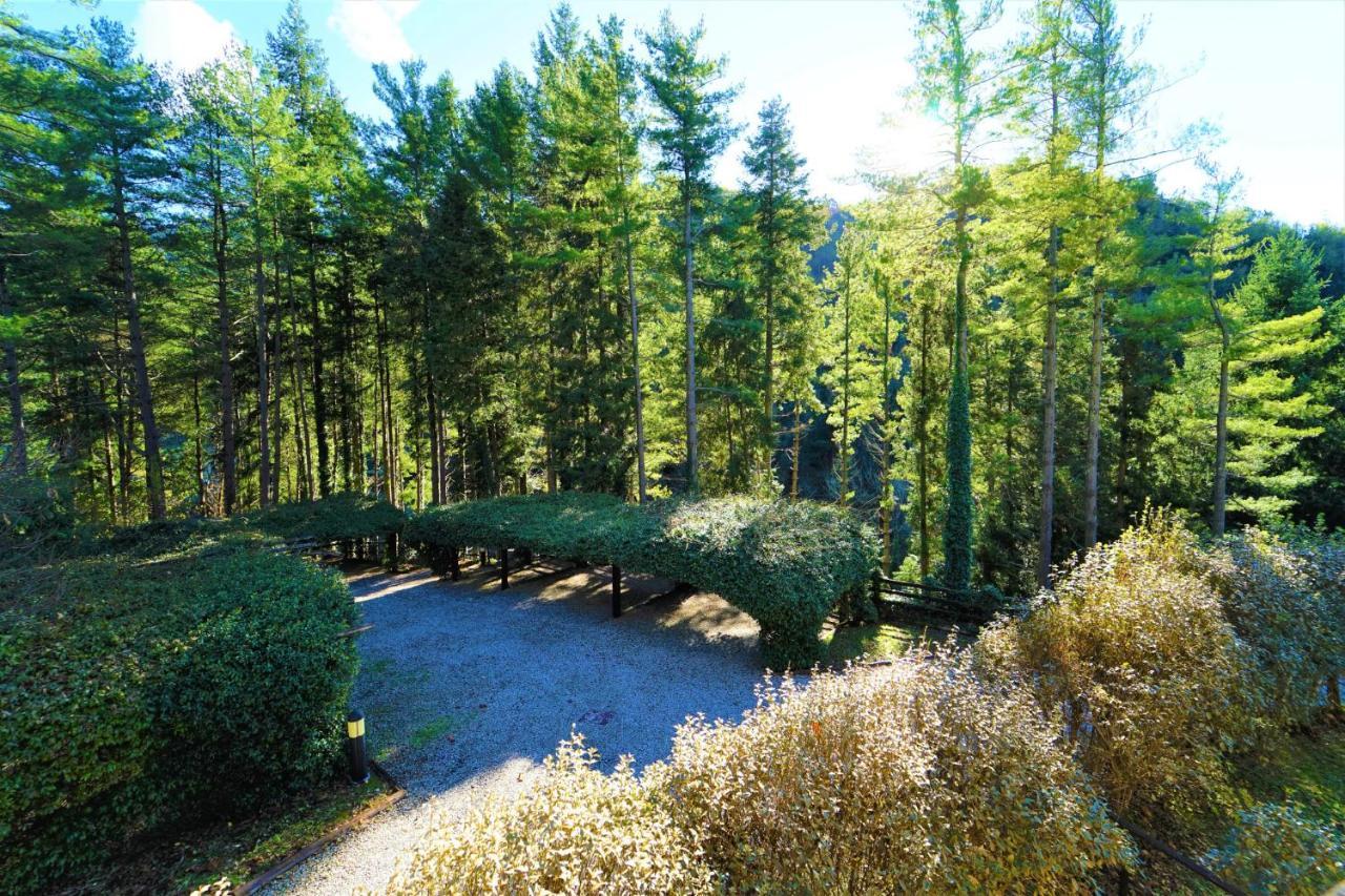 Il Bosco Di Campo Marzano Sunlight Leilighet Borzonasca Eksteriør bilde