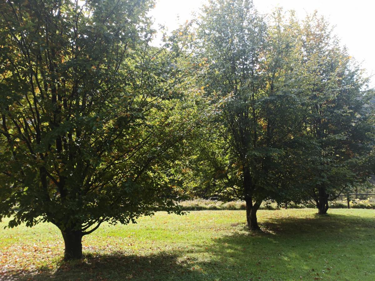 Il Bosco Di Campo Marzano Sunlight Leilighet Borzonasca Eksteriør bilde