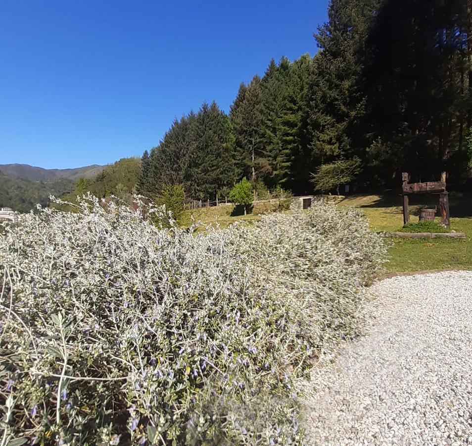 Il Bosco Di Campo Marzano Sunlight Leilighet Borzonasca Eksteriør bilde