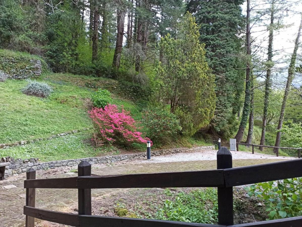 Il Bosco Di Campo Marzano Sunlight Leilighet Borzonasca Eksteriør bilde